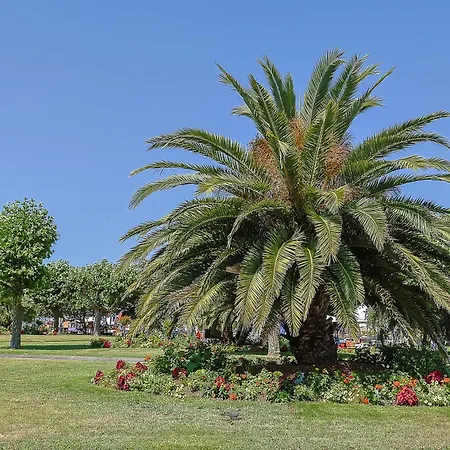 Rosella Tatil Evi Les Sables-dʼOlonne